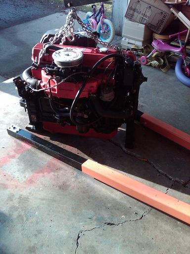 IMG00145 20100318 1825