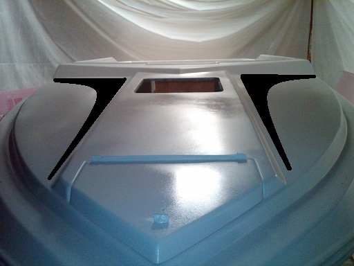 IMG00226 20100405 1140