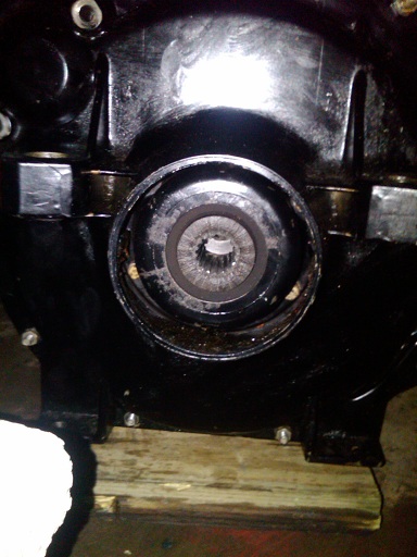 IMG00299 20100411 2134